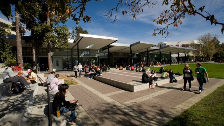 University Of Waikato & Institute Of Healthy Ageing Scholarship Programs - New Zealand