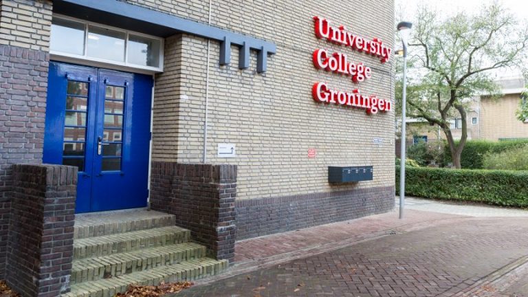 USP Scholarships At University College Groningen, Netherlands - 2018