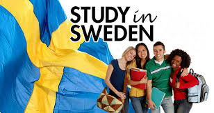 Full Swedish Institute Scholarships For Global Professionals (SISGP) Programme - Sweden