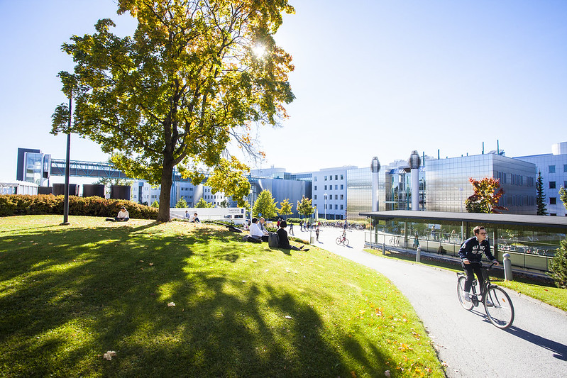 2020 International Scholarships At Tampere University Of Applied ...